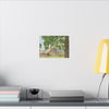 Sutter Ranch, Sutter CA, Canvas Print, Home Decor, Wall Art, Barn Art,