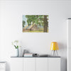 Sutter Ranch, Sutter CA, Canvas Print, Home Decor, Wall Art, Barn Art,