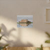 Seaver Barn Colusa Maxwell Rd,  Canvas Print, Home Decor, Wall Art, Floral Art,