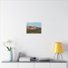 Keegan Ranch Willams Calif,  Canvas Print, Home Decor, Wall Art, Floral Art,