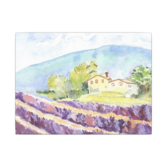 Hills of Provence Canvas Print, Home Decor, Wall Art, Gift, Floral Art