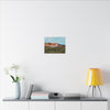 Keegan Ranch Willams Calif,  Canvas Print, Home Decor, Wall Art, Floral Art,