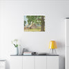 Sutter Ranch, Sutter CA, Canvas Print, Home Decor, Wall Art, Barn Art,