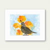 California Poppies & Quail – California Spring Watercolor Print