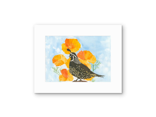 California Poppies & Quail – California Spring Watercolor Print