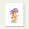 Purple & Salmon Iris Flowers – Watercolor Print