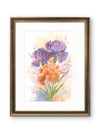 Purple & Salmon Iris Flowers – Watercolor Print