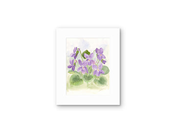 Spring Violets — Watercolor Floral Art Print by Claudia Buchanan