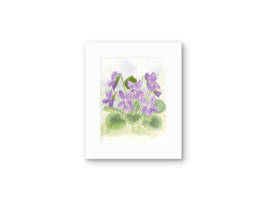 Spring Violets — Watercolor Floral Art Print by Claudia Buchanan