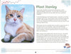 2027 Calendar Stanley The Farm Cat