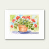 Summer Red Geraniums — Watercolor Floral Art Print by Claudia Buchanan