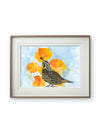 California Poppies & Quail – California Spring Watercolor Print