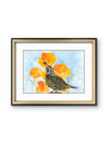 California Poppies & Quail – California Spring Watercolor Print